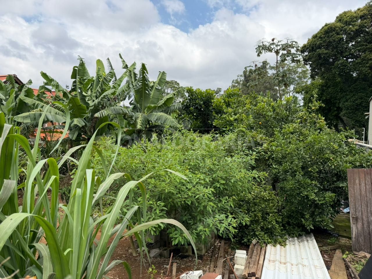 Terreno para Venda - Interlagos