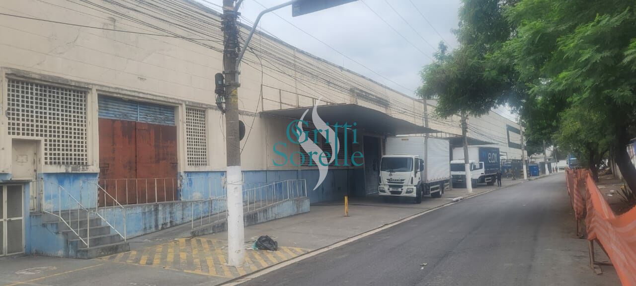 Galpão para Locação - Vila Leopoldina