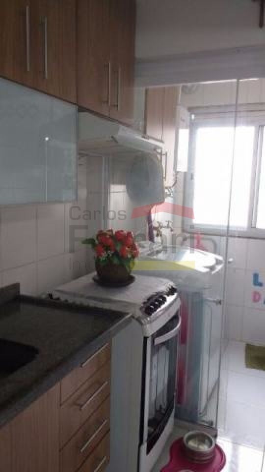 Foto 7