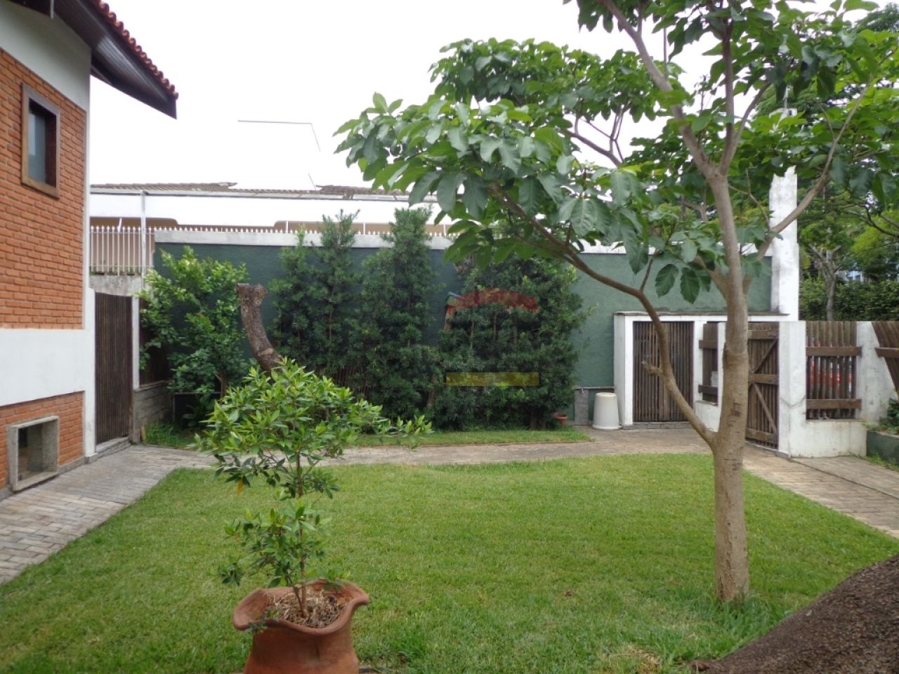 Foto 11