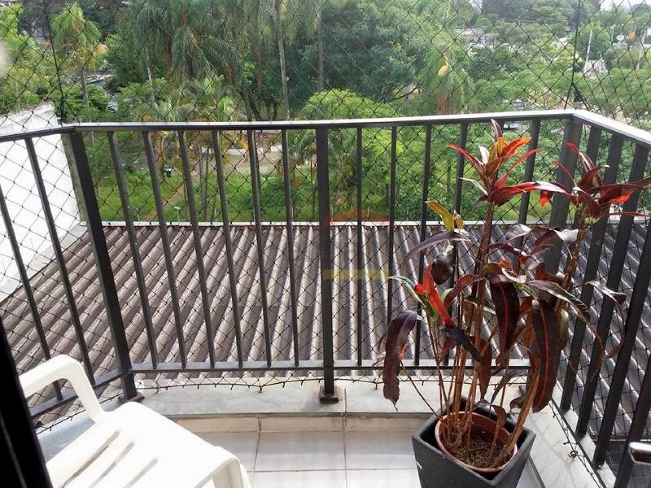 Foto 4