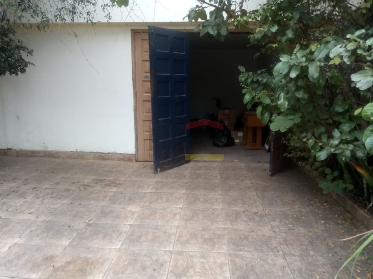 Foto 19