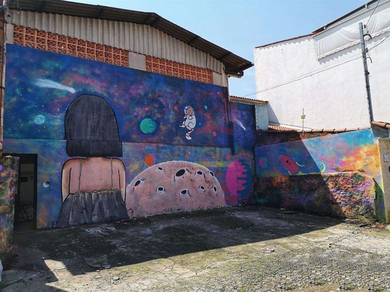 Foto 5