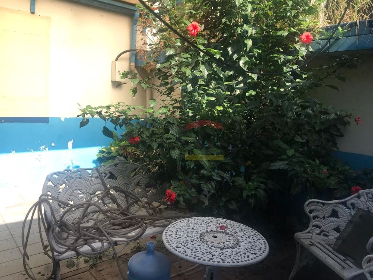 Foto 11