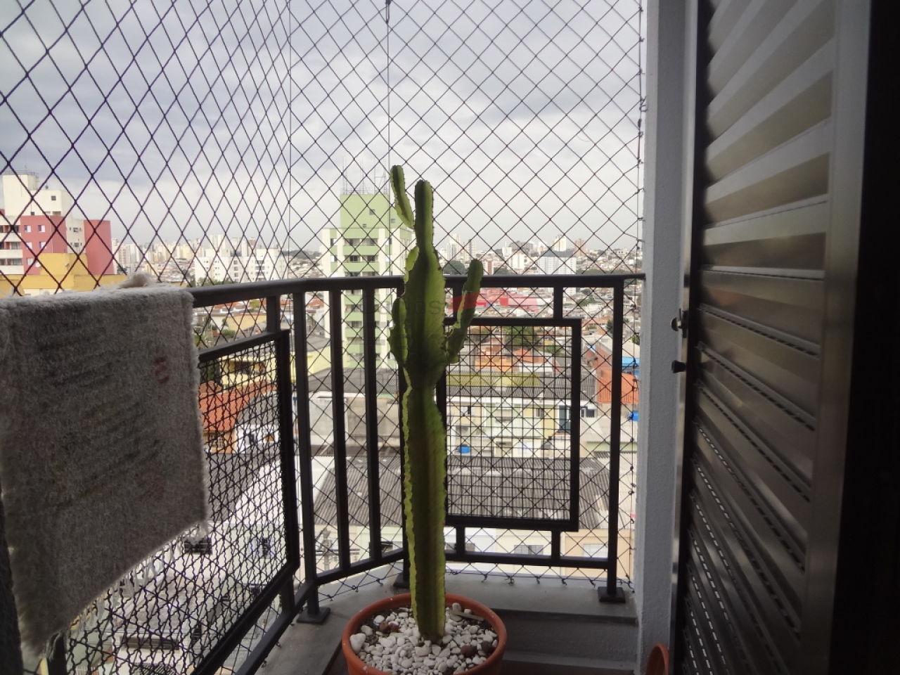Foto 24