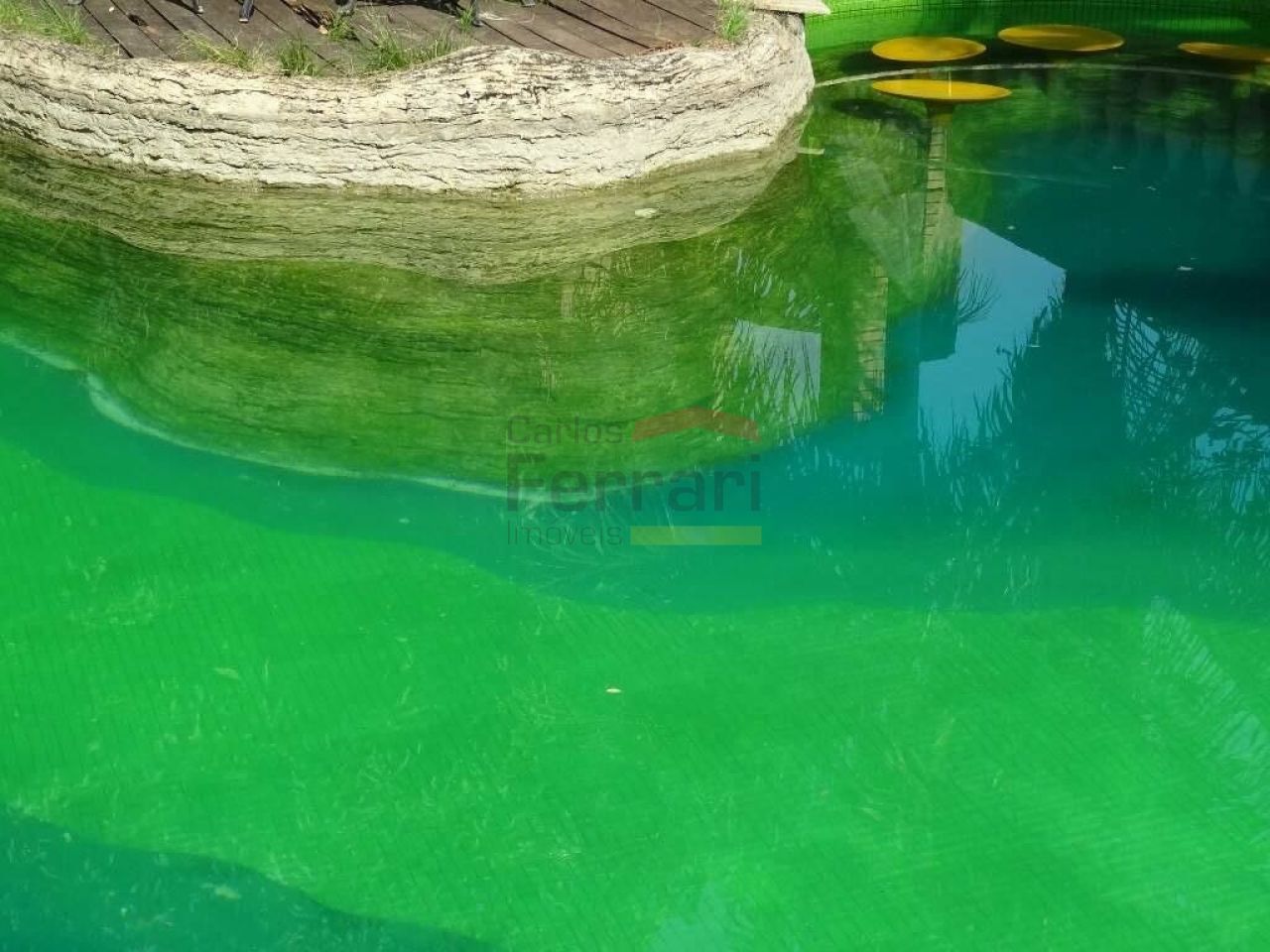 Foto 6