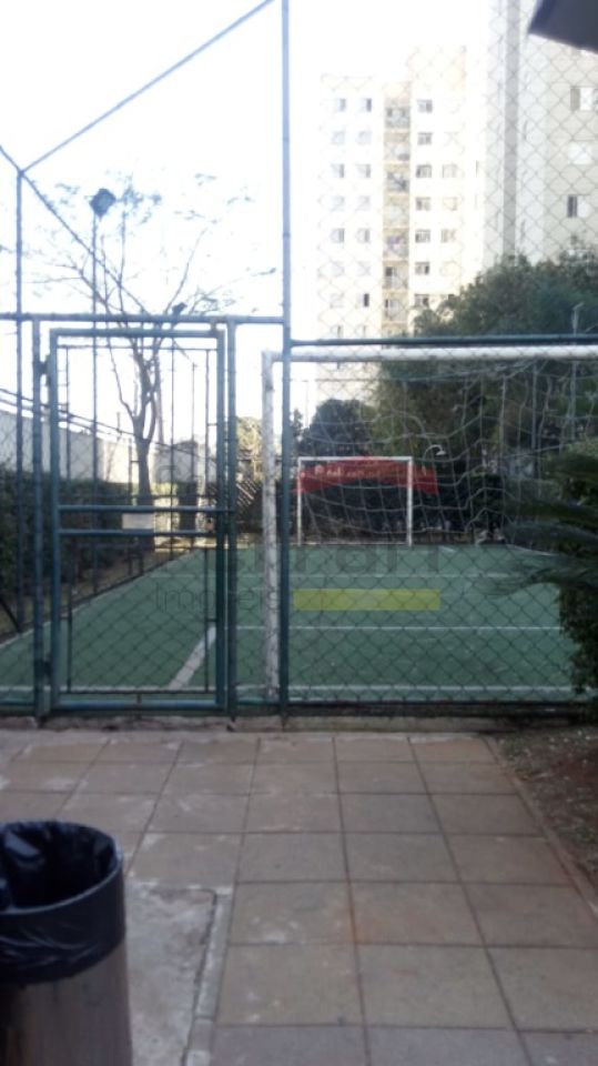 Foto 15