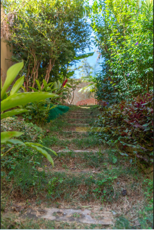 Foto 42