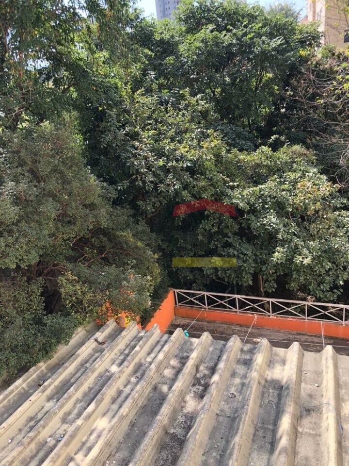 Foto 26