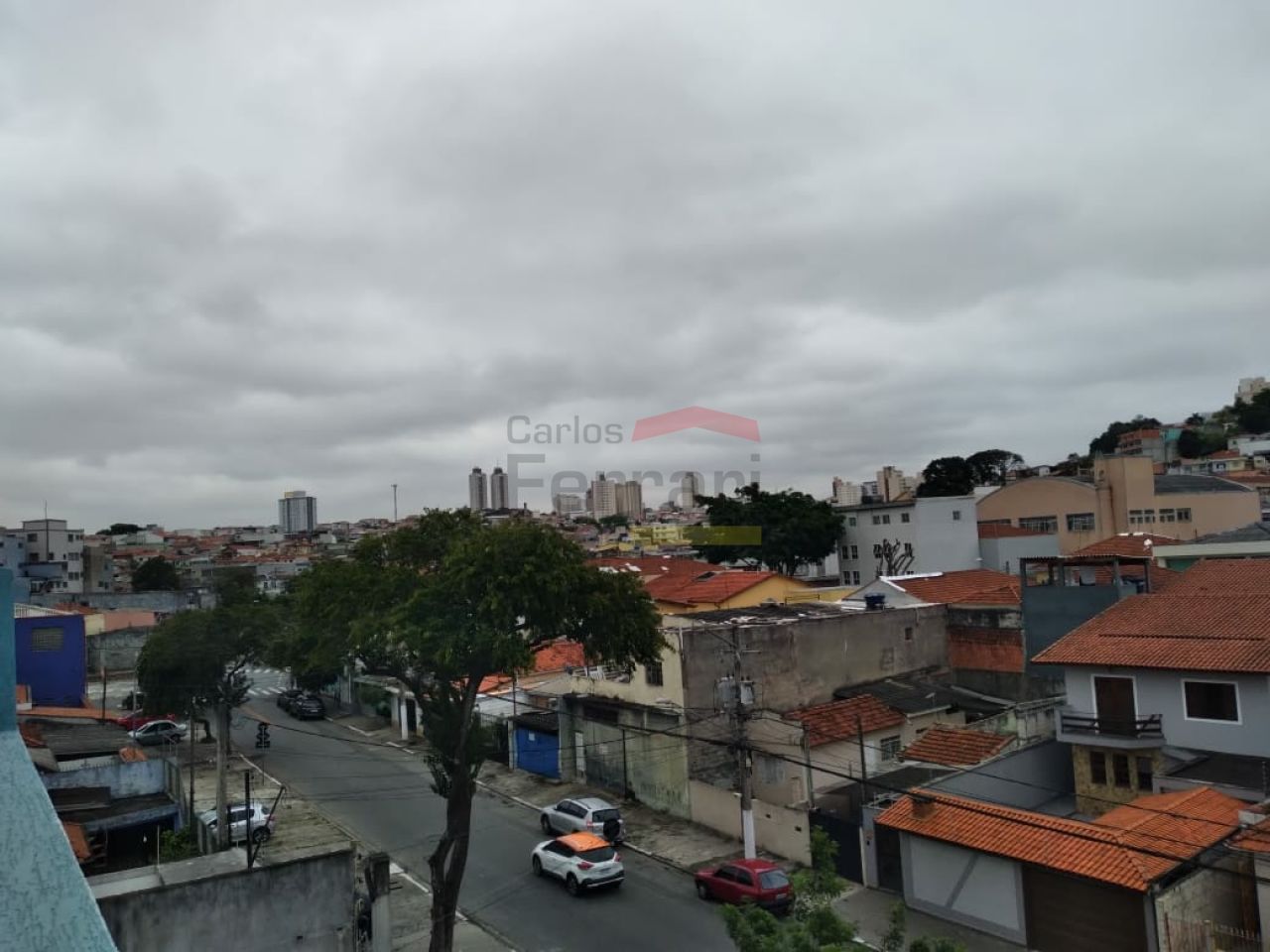 Foto 19
