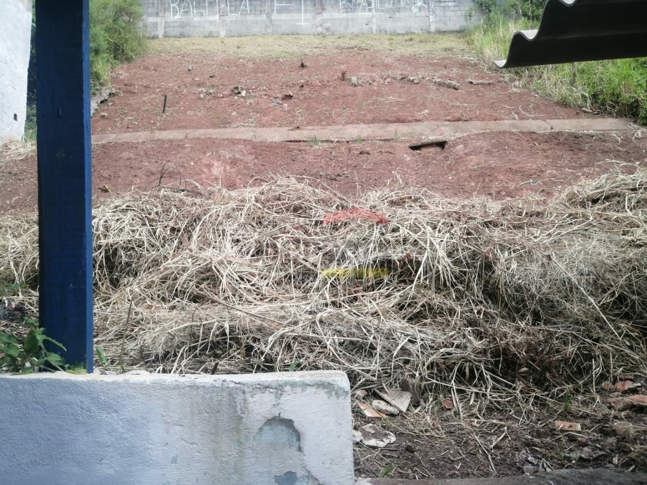 Foto 12