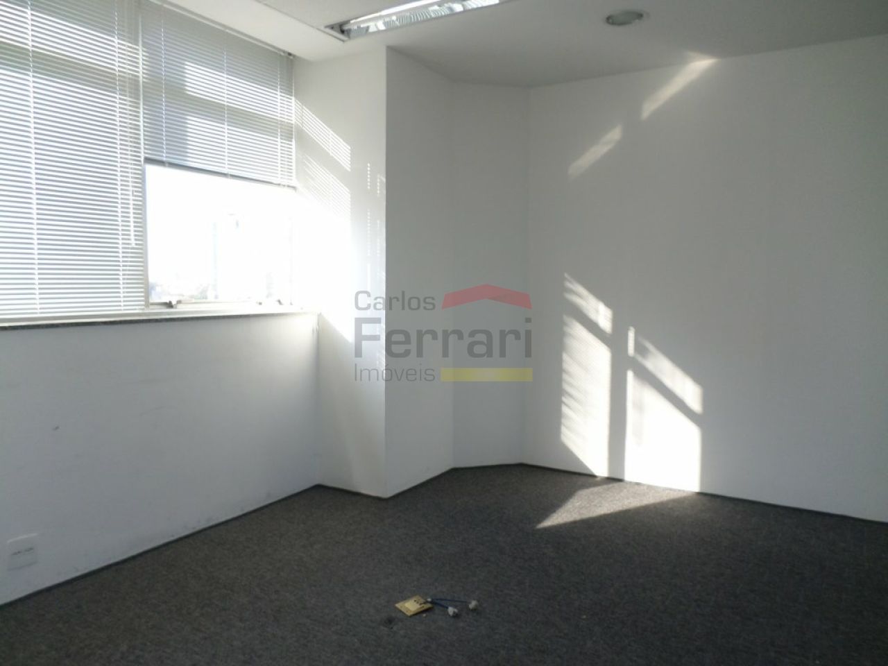 Foto 19