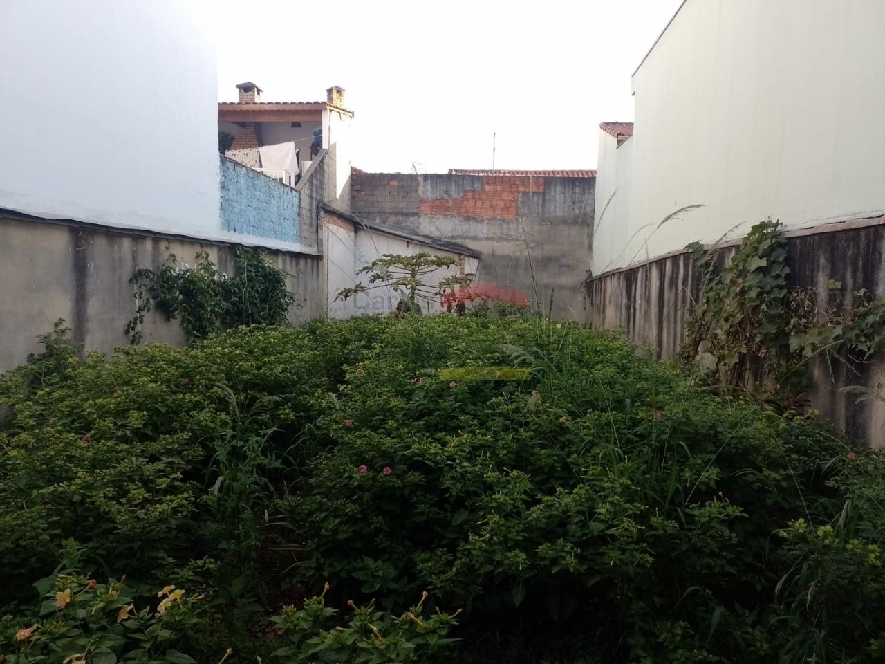 Foto 0