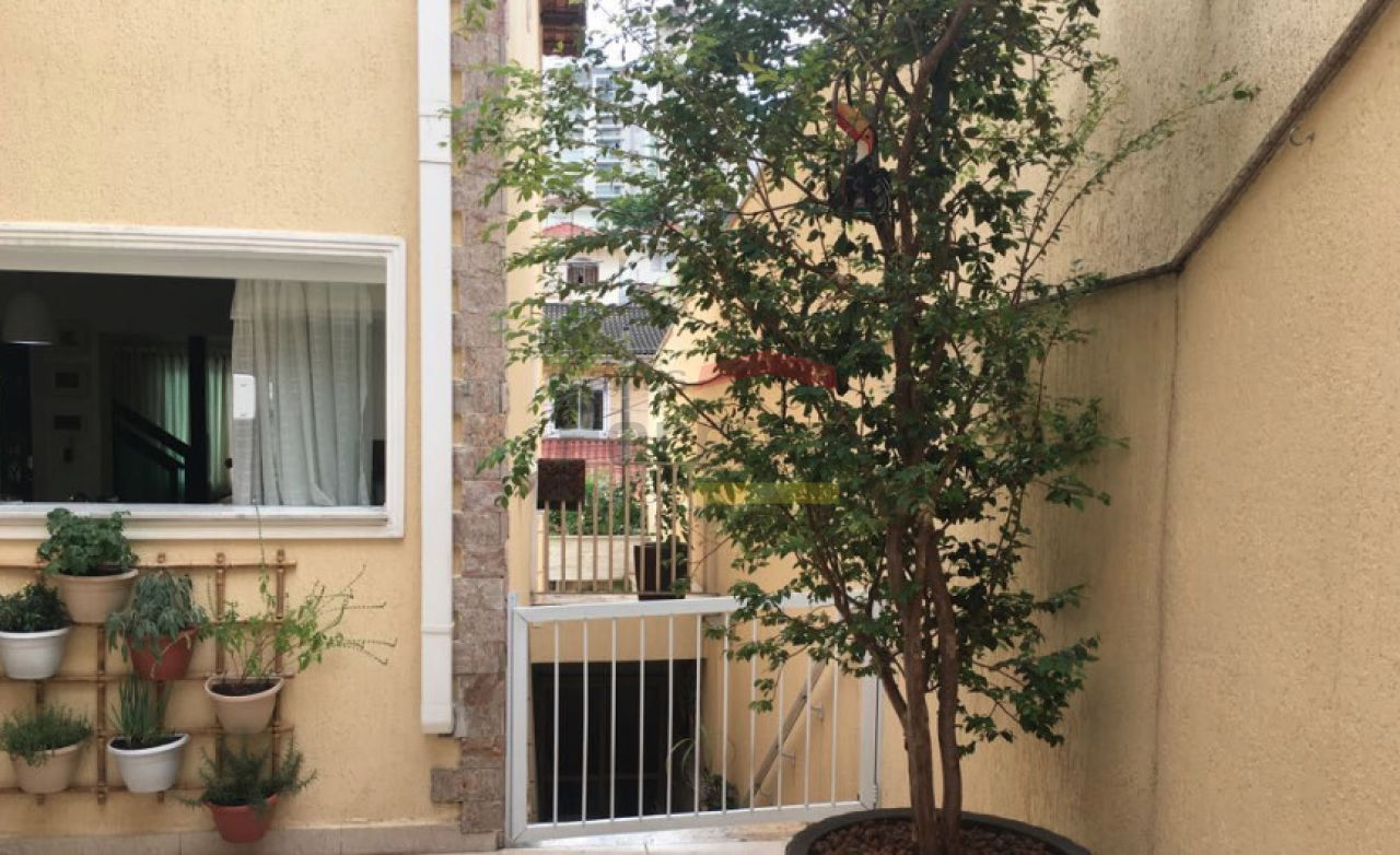 Foto 21