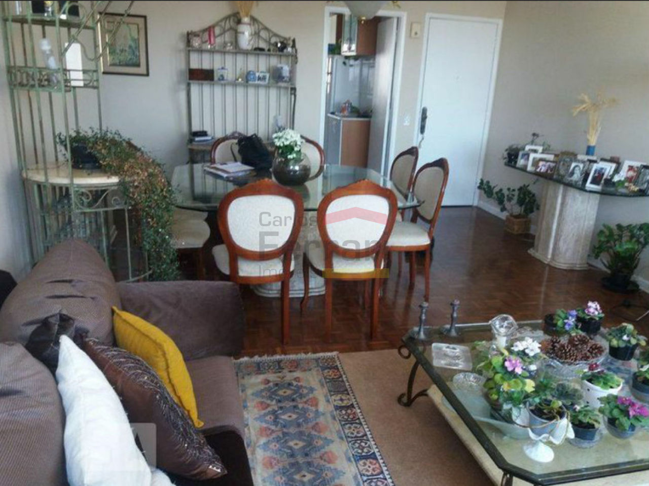 Foto 3