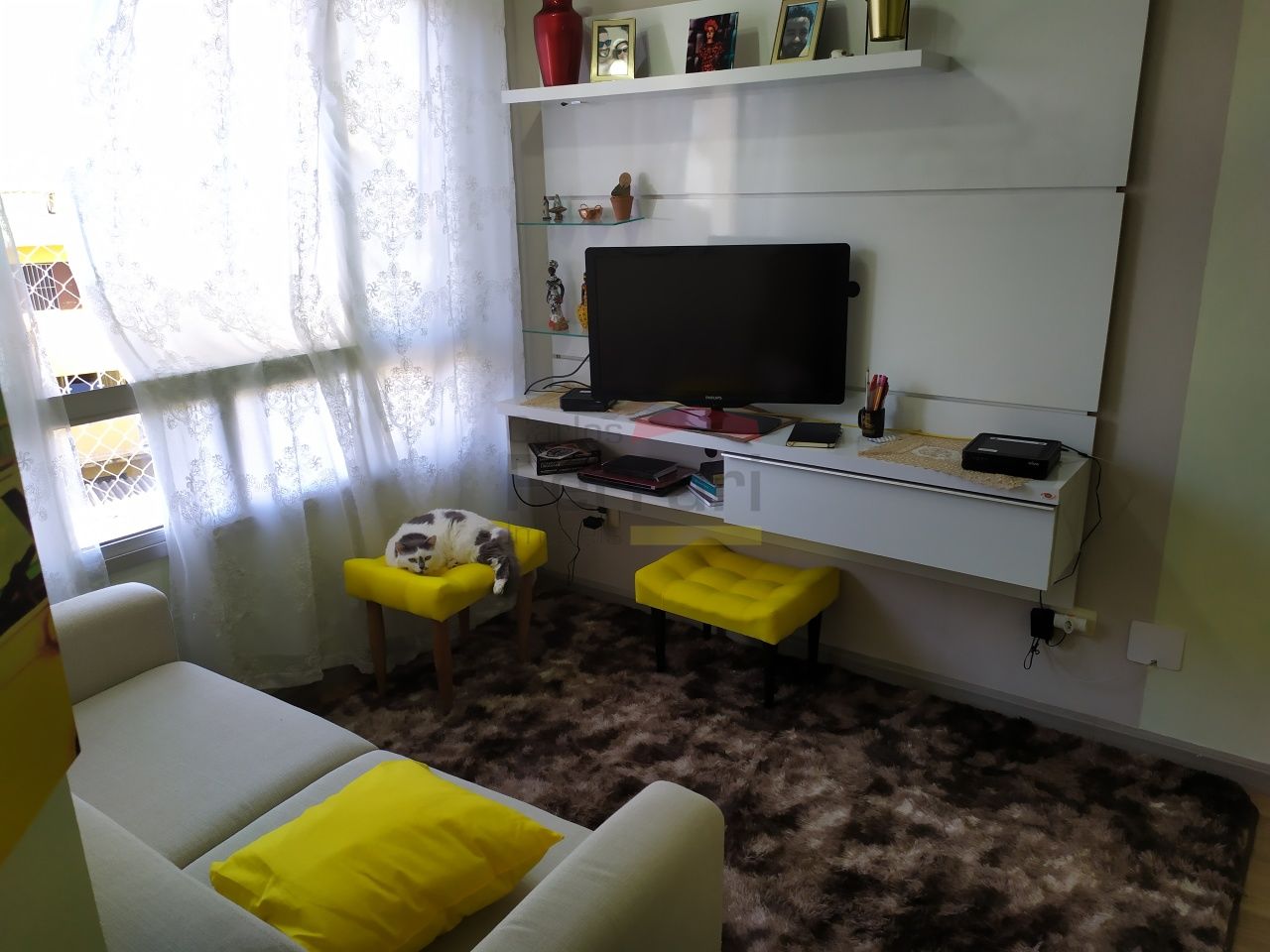 Foto 5