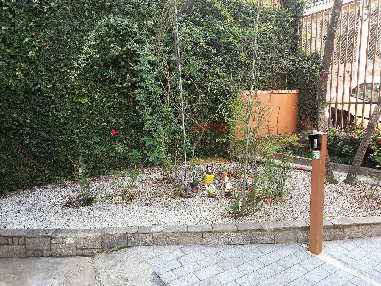 Foto 12