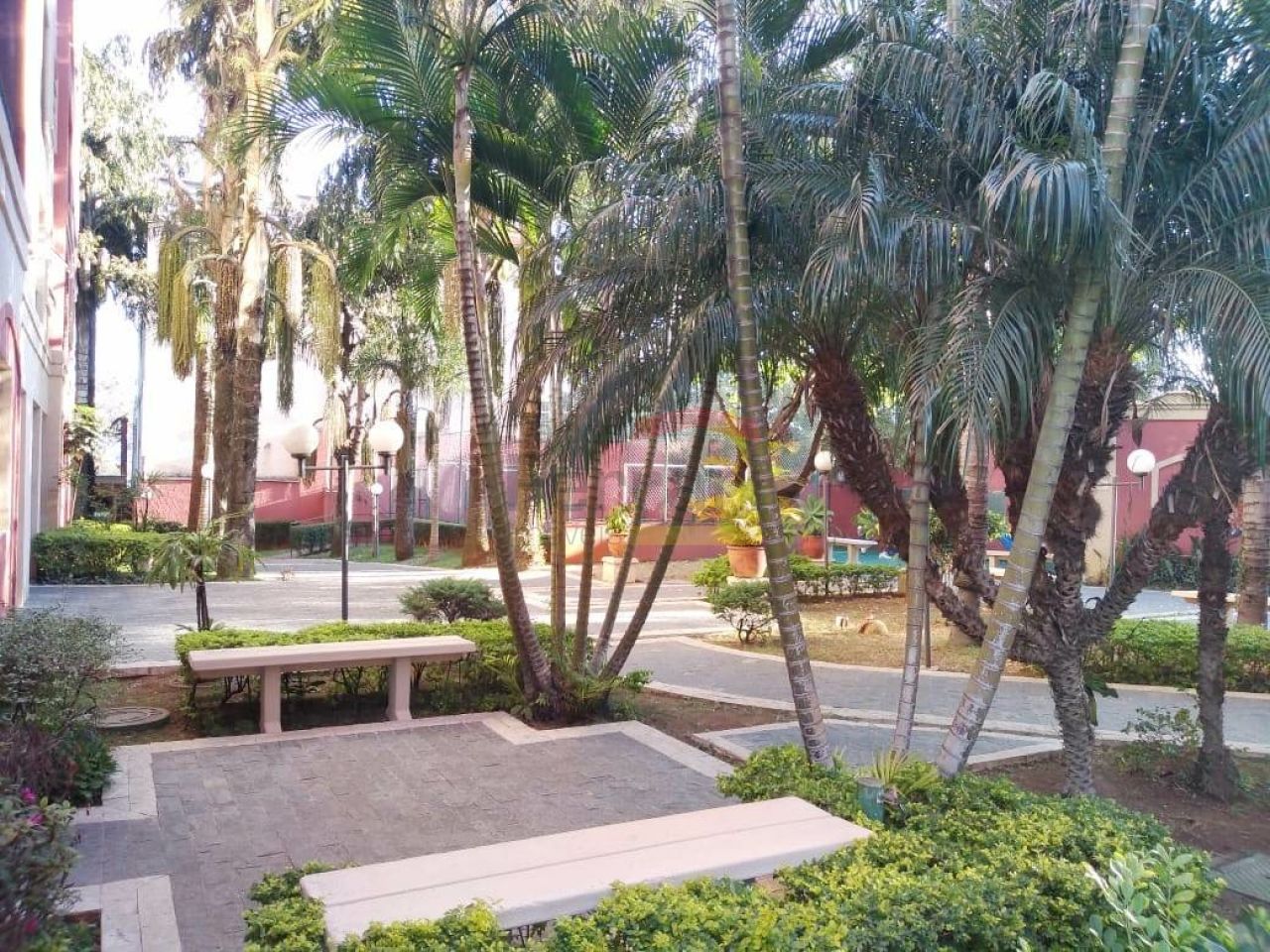 Foto 6