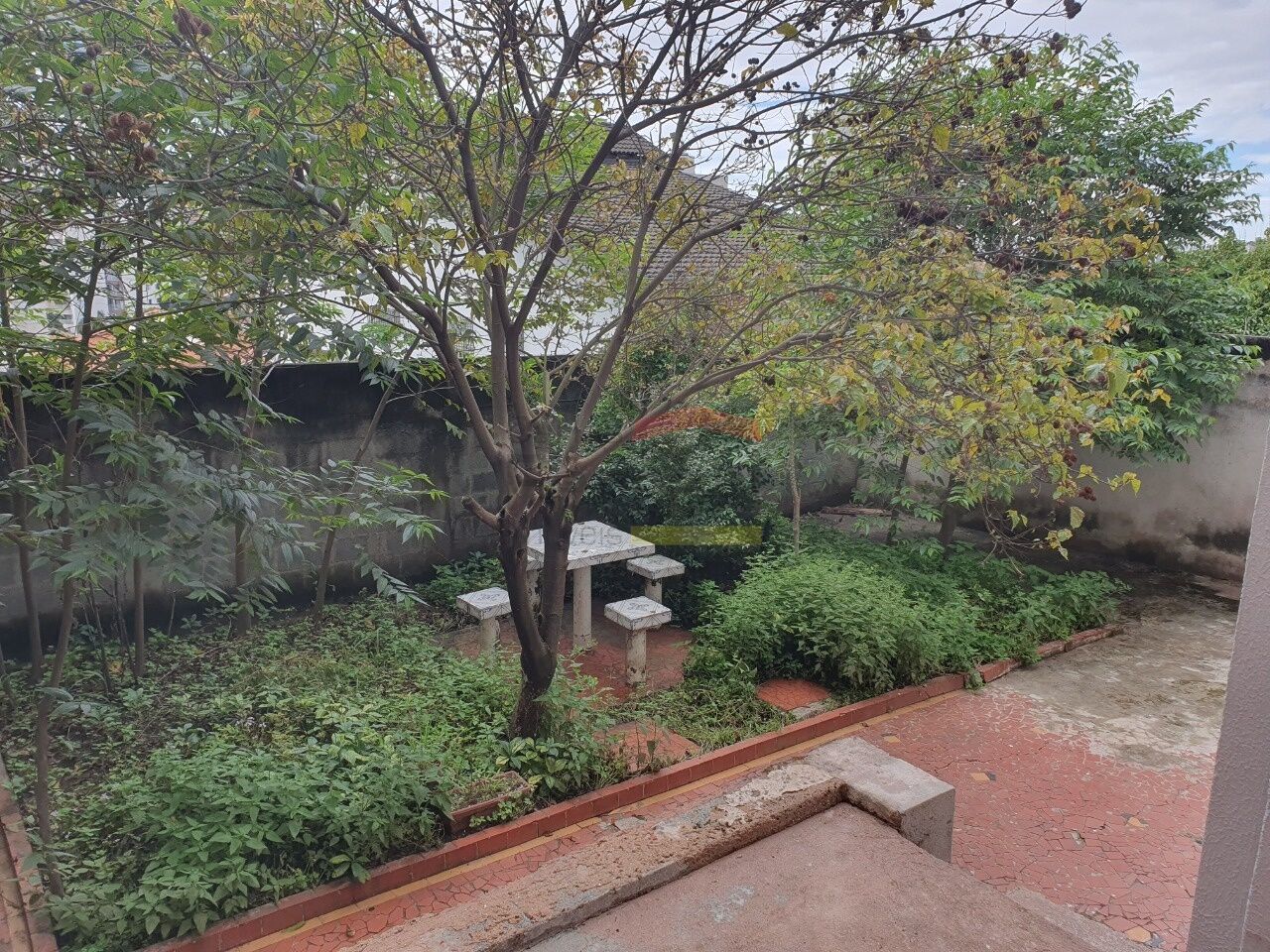 Foto 20
