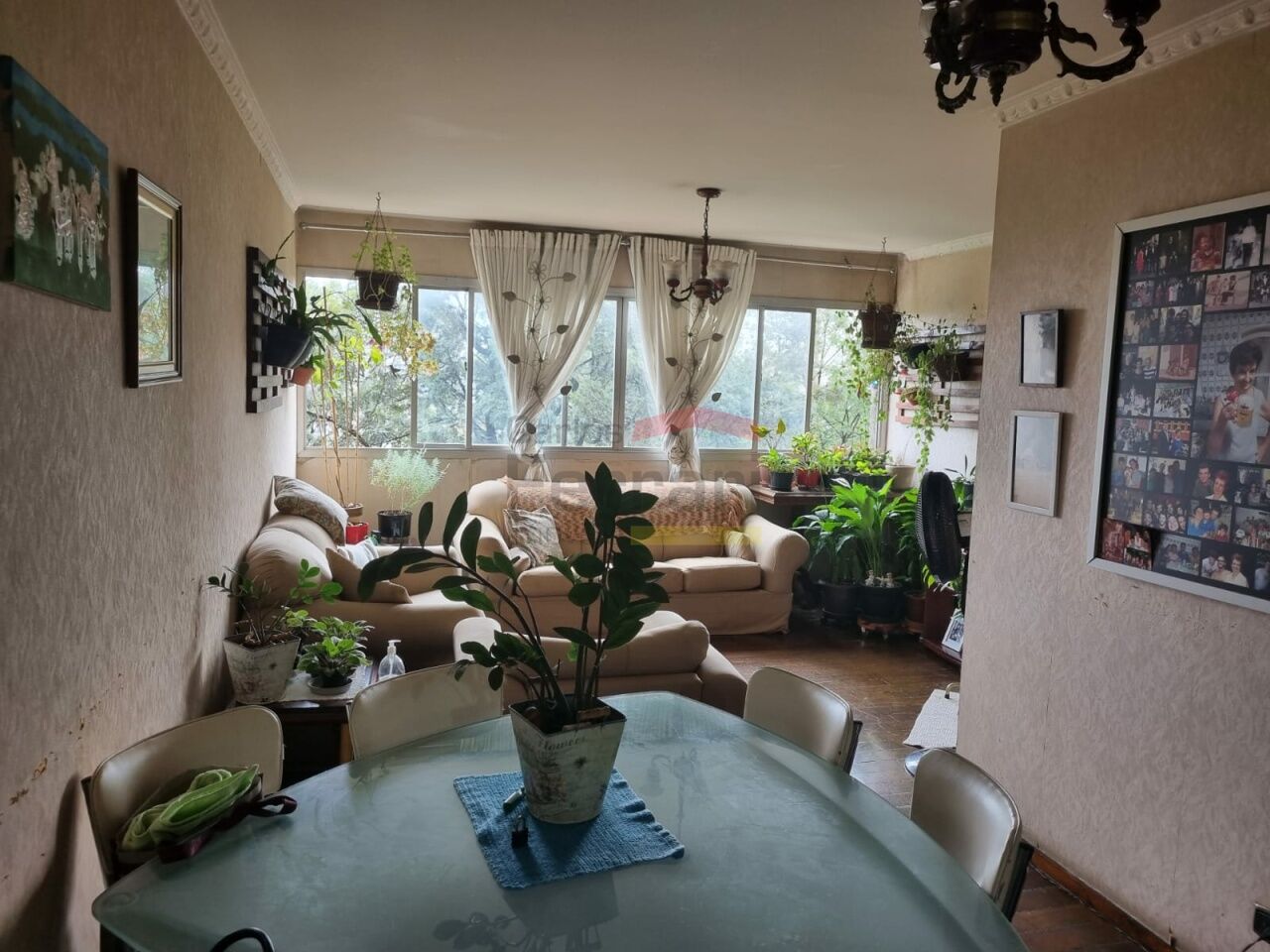 Foto 17
