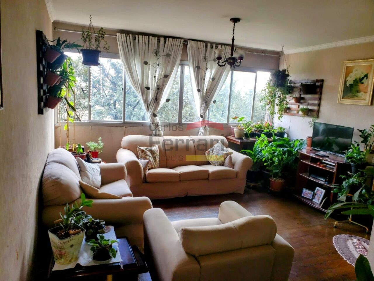 Foto 41