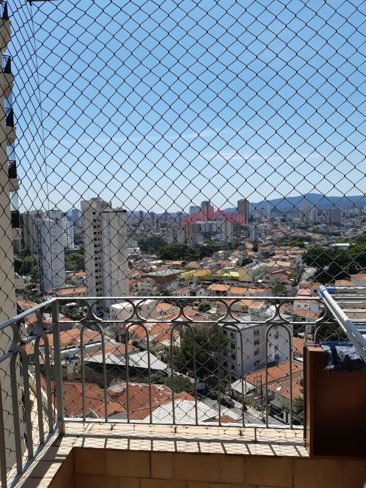 Foto 19