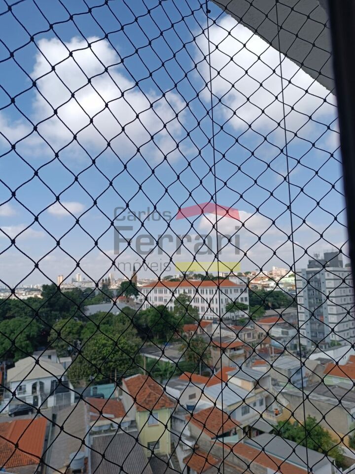 Foto 20