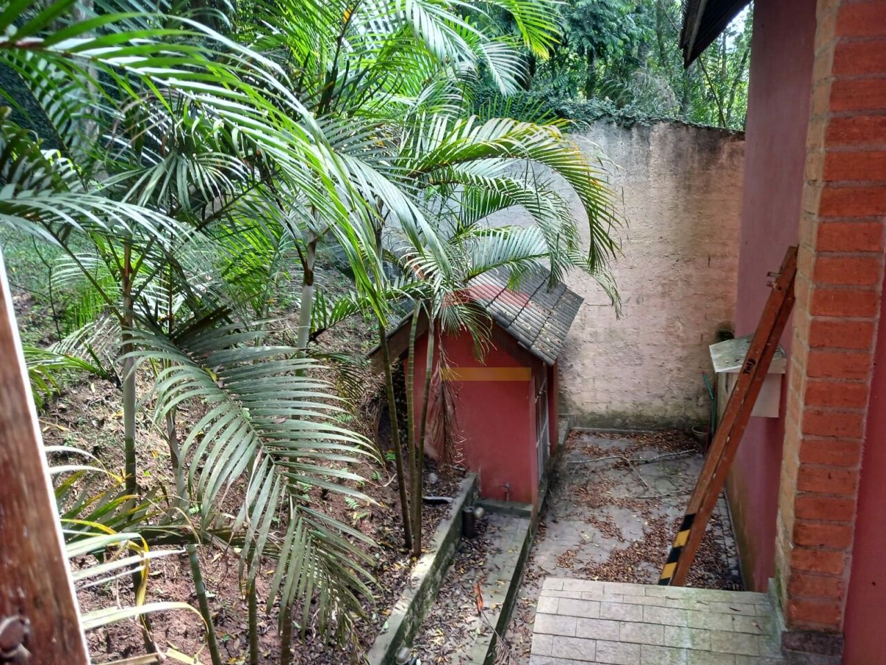 Foto 12