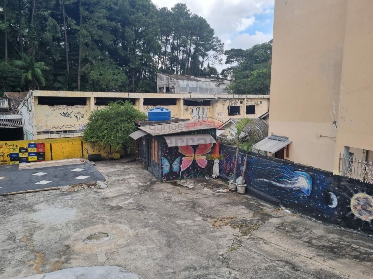 Foto 4