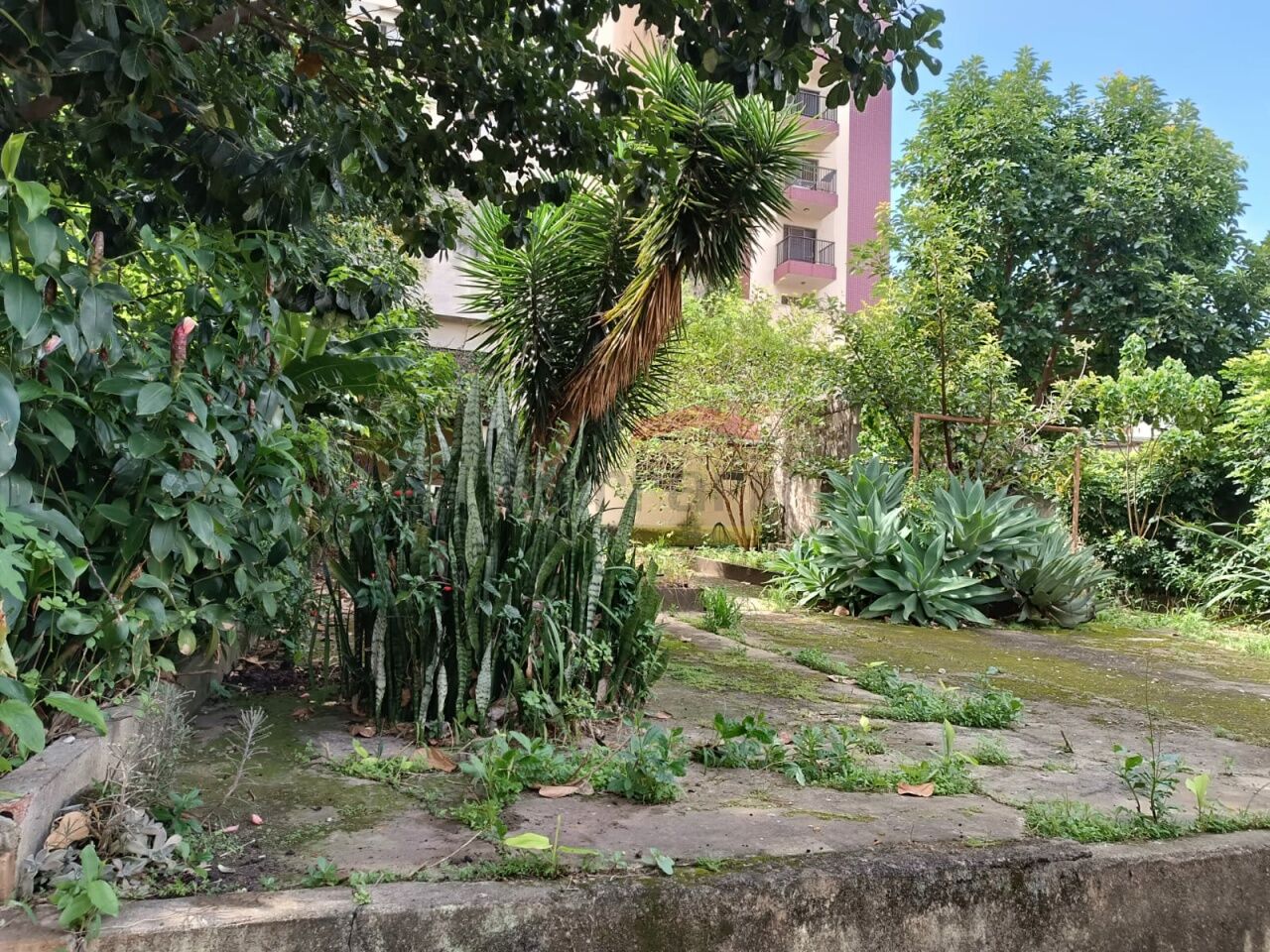 Foto 8