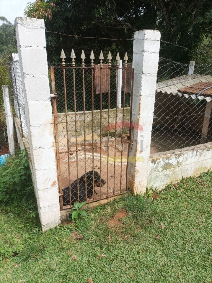 Foto 0