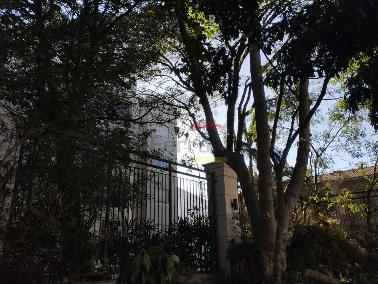 Foto 46