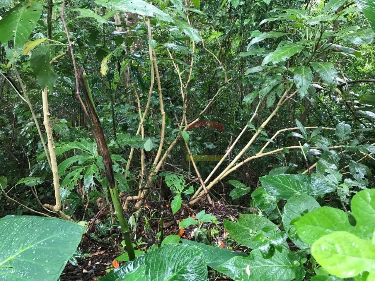Foto 0