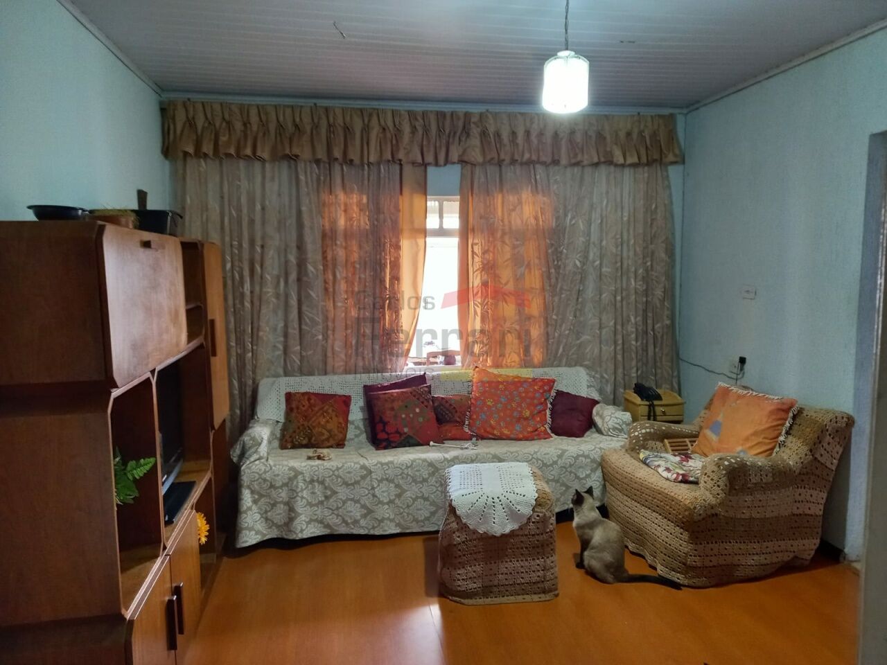 Foto 1