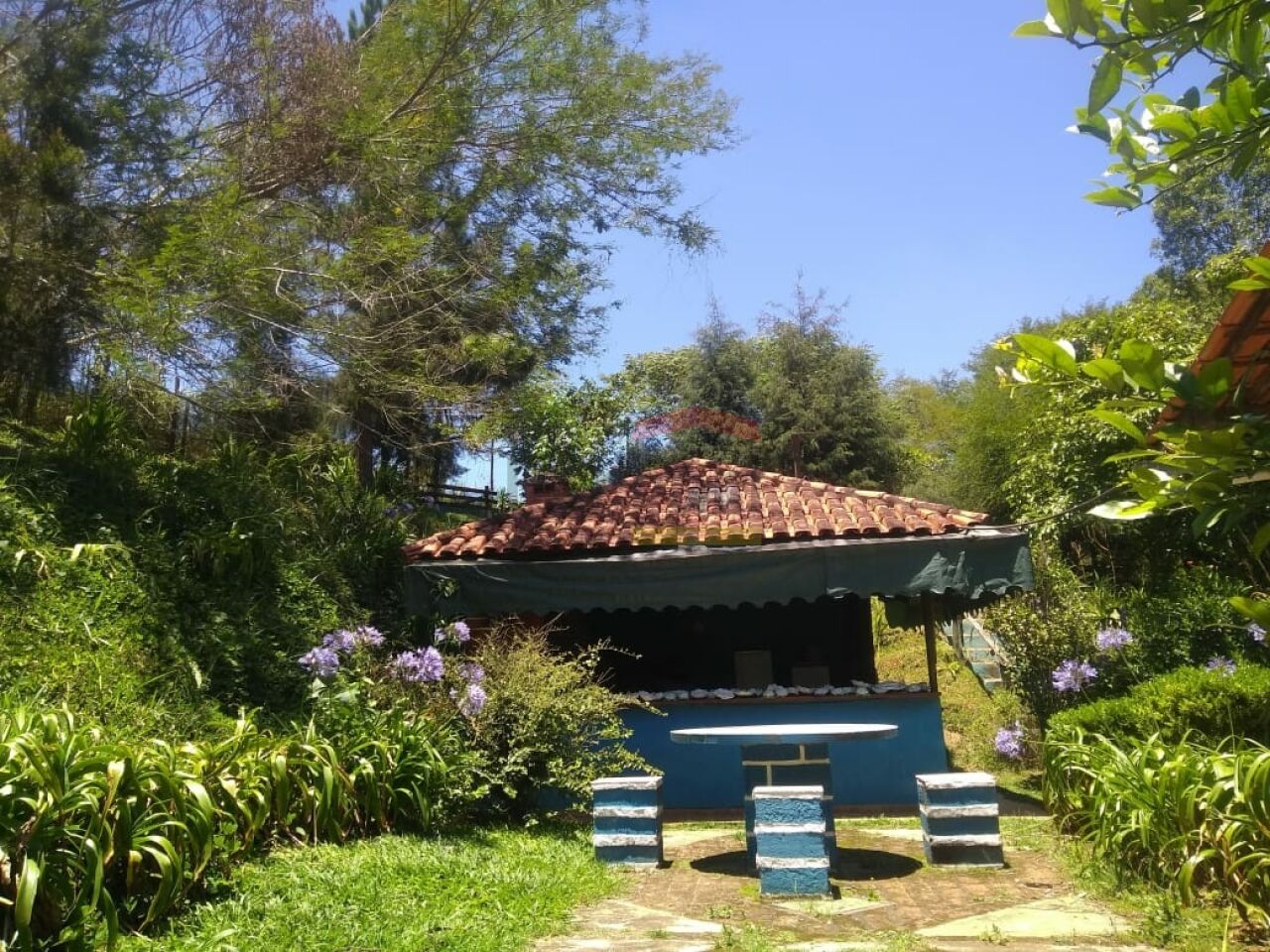 Foto 19