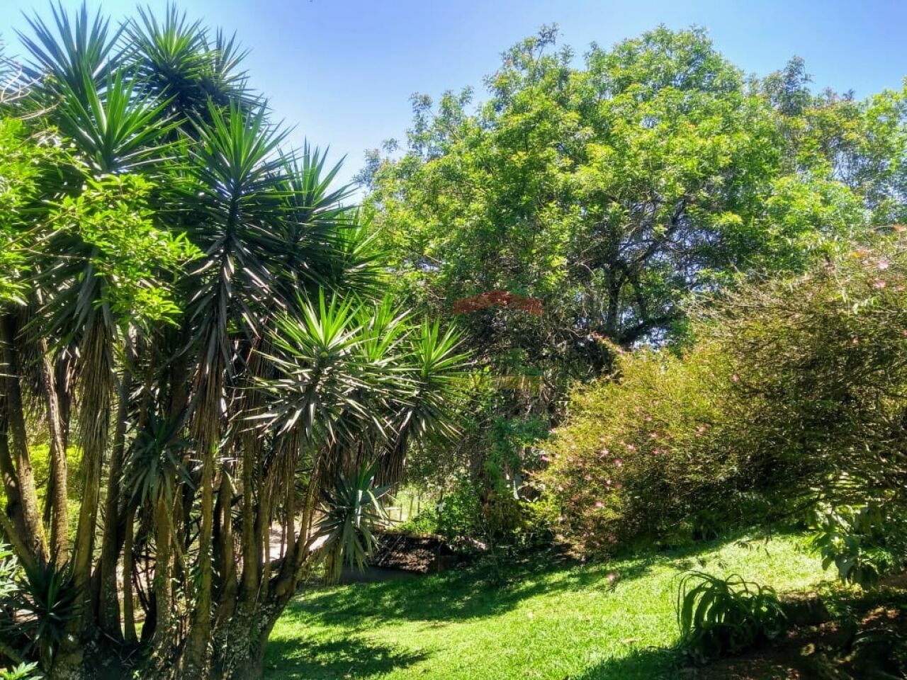 Foto 11