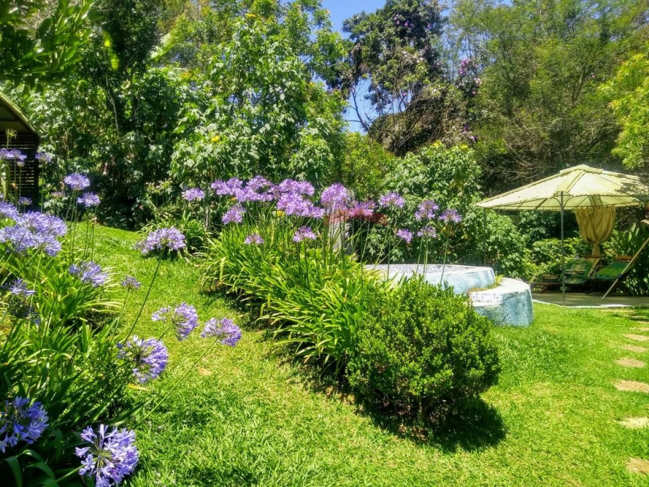 Foto 8