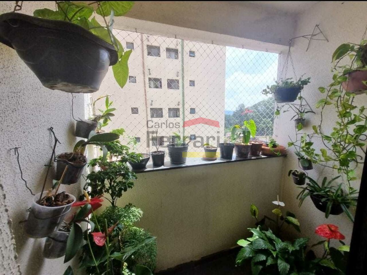Foto 8