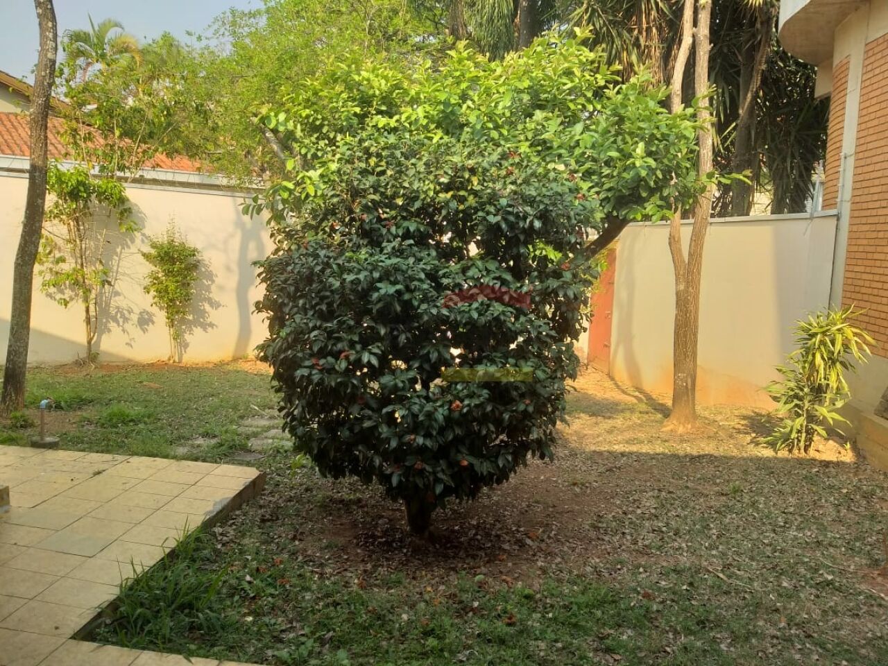 Foto 43