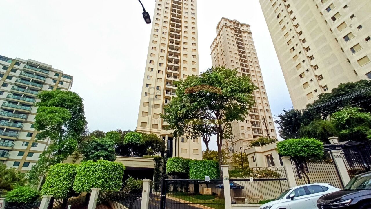 Foto 42
