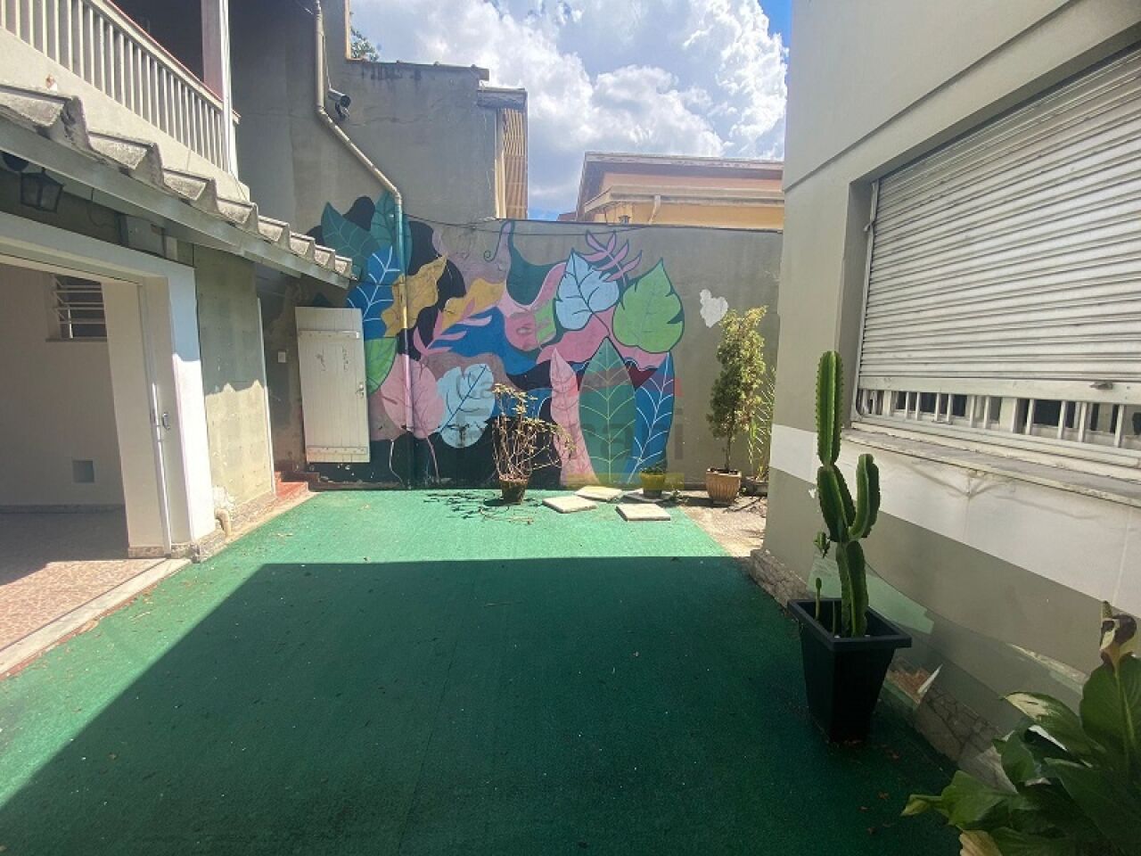 Foto 15