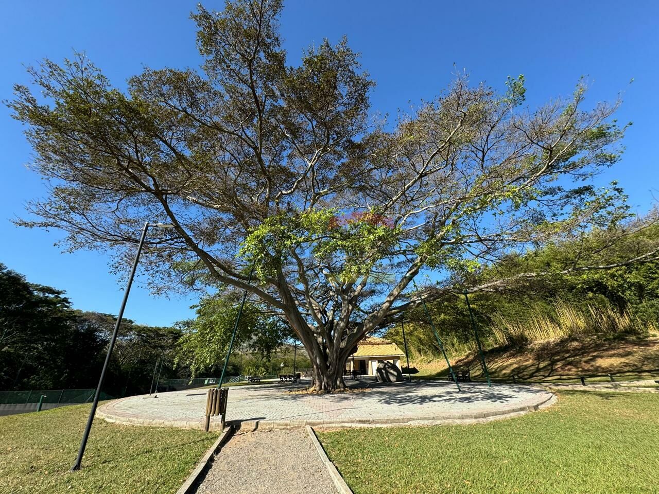 Foto 15