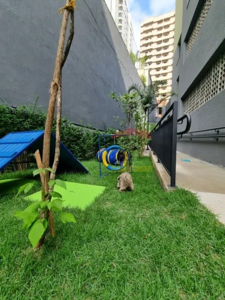 Foto 14
