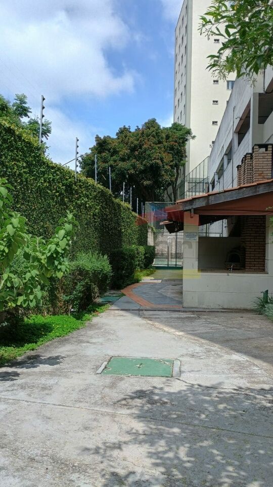 Foto 15