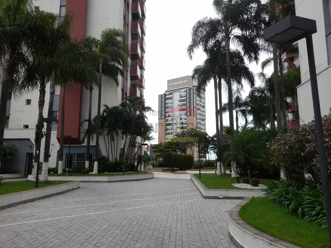 Foto 29