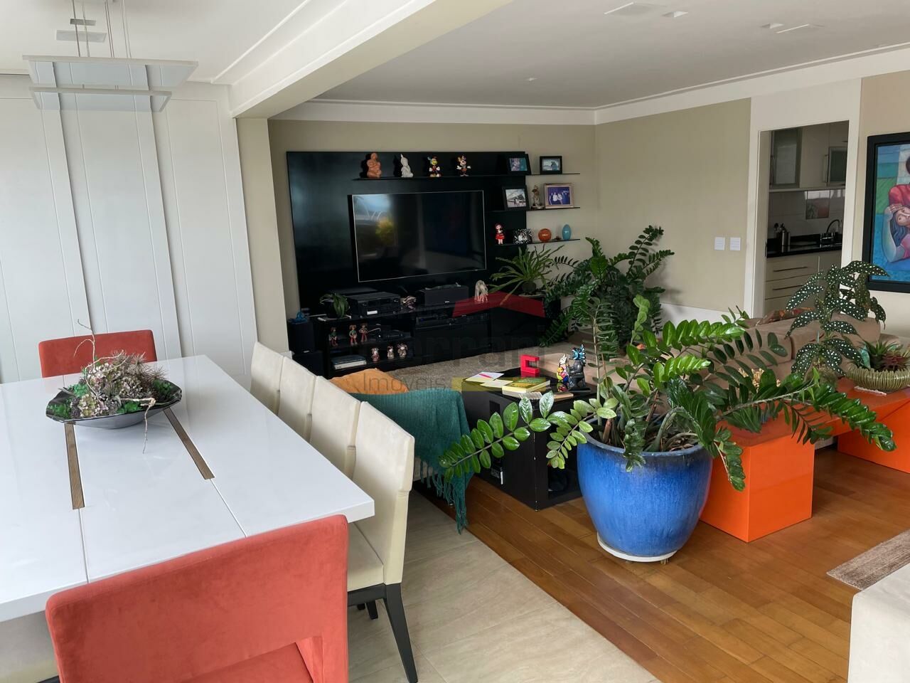 Foto 19