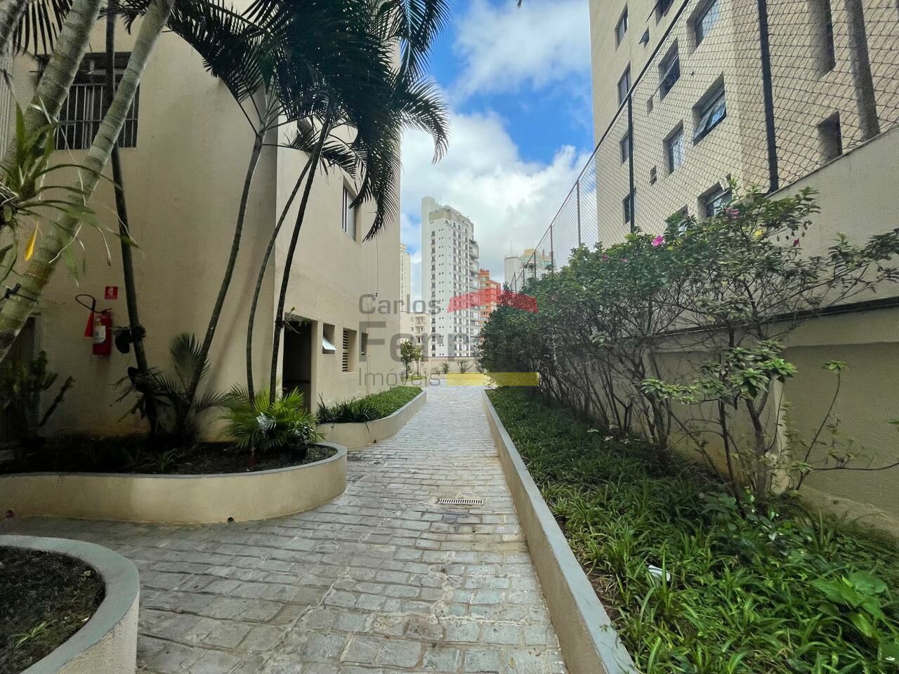 Foto 48