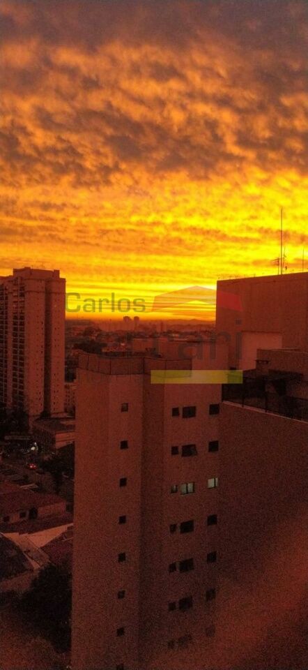 Foto 41