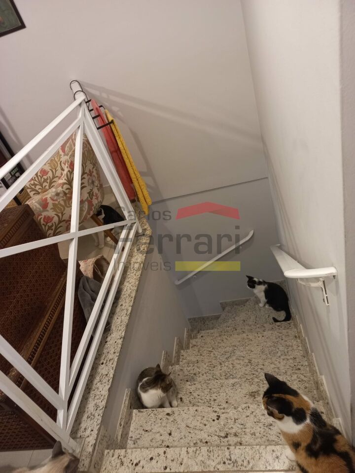 Foto 30
