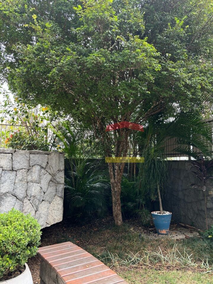 Foto 34